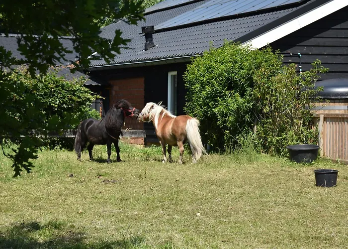 5 Persoons Hengelo (Gelderland)