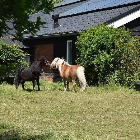 5 Pers Met Hottub Nabij Vorden Hengelo (Gelderland)